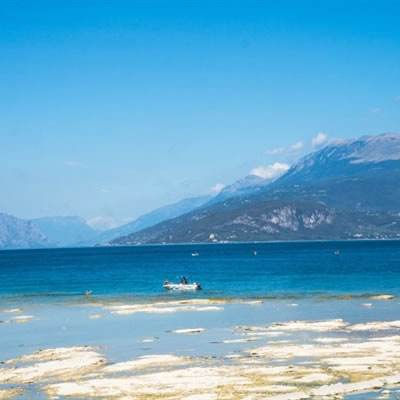 Bob体育登录入口APP下载