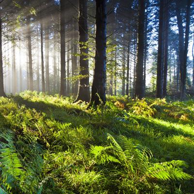 万博手机版max网页版(中国)官方网站下载手机版