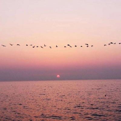 金沙娱场城官网入口网址下载