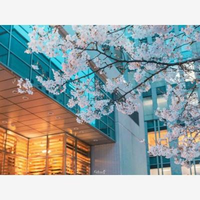 幸运快3在线官网截图