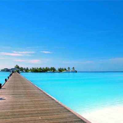 大发彩票官方官方平台app下载手机版