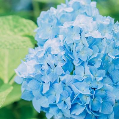 宝威体育官网入口