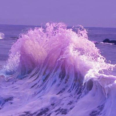 6566体育下载手机版