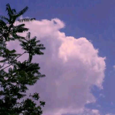 ob体育最新官网截图