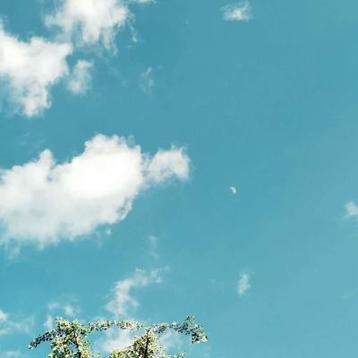 凤凰彩票下载手机版